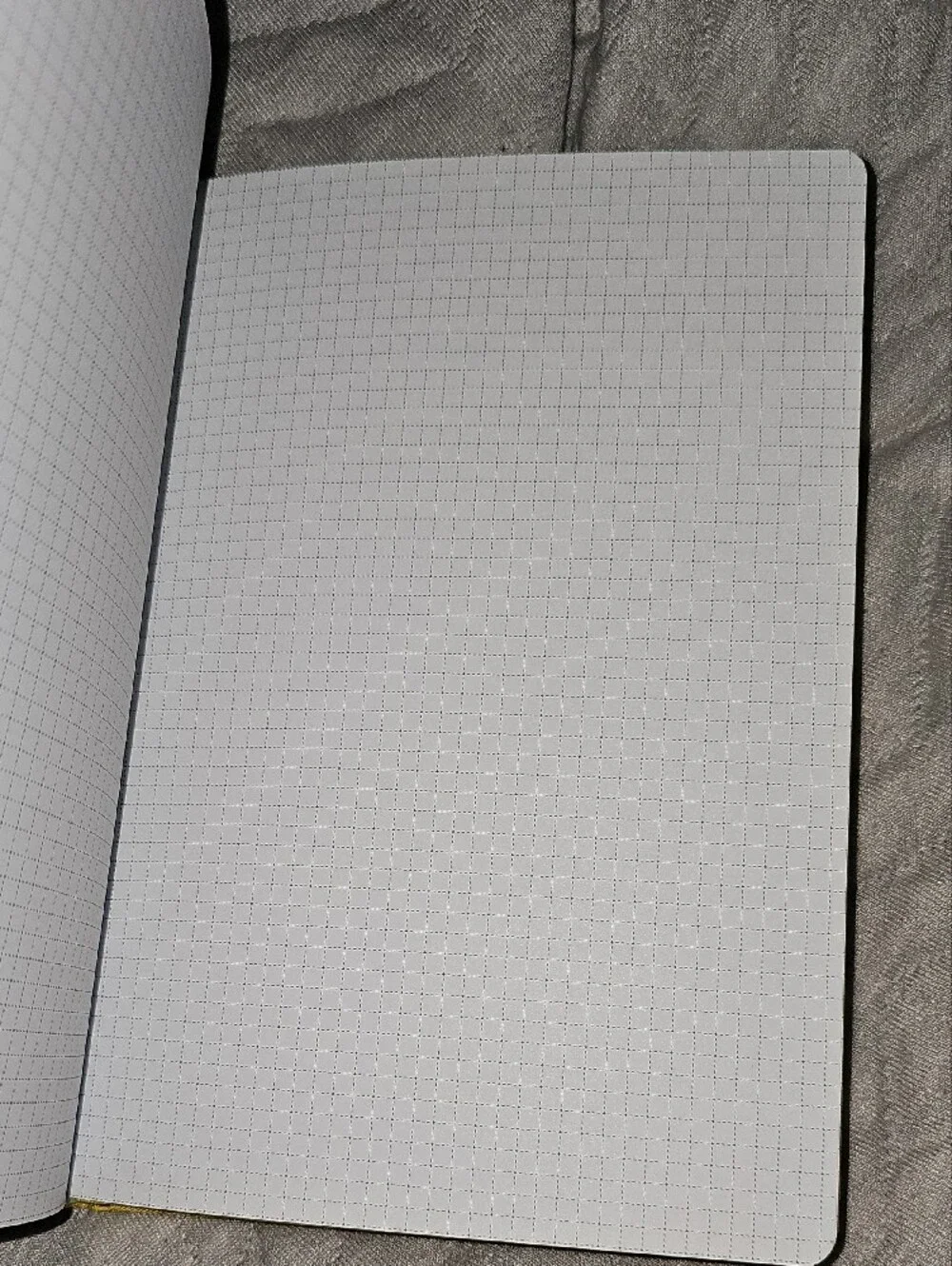Goldmine and CoCo embossed planning no